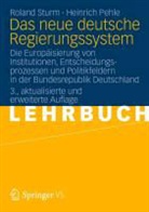 Pehle, Heinrich Pehle, Stur, Rolan Sturm, Roland Sturm - Das neue deutsche Regierungssystem