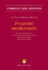 Philippe Gilliéron, Jacques de Werra - Propriété intellectuelle