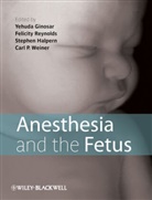 Y Ginosar, Yehuda Ginosar, Yehuda Reynolds Ginosar, GINOSAR YEHUDA REYNOLDS FELICITY, Stephen H. Halpern, Felicity Reynolds... - ANESTHESIA AND THE FETUS