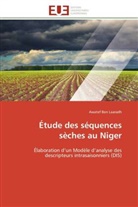 Awatef Ben Laaradh, Laaradh-A - Etude des sequences seches au niger