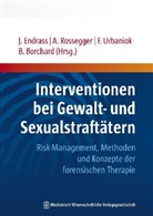 Bernd Borchard, Jérôme Endrass, Astrid Rossegger, Frank Urbaniok - Interventionen bei Gewalt- und Sexualstraftätern