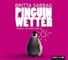 Britta Sabbag, Nana Spier - Pinguinwetter, 4 Audio-CDs (Hörbuch)