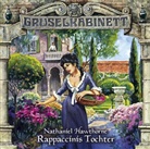 Nathaniel Hawthorne, Jacqueline Belle, Manfred Erdmann, Max Felder - Rappaccinis Tochter, 1 Audio-CD (Audio book)