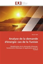 Besma Talbi, Talbi-b - Analyse de la demande d energie: