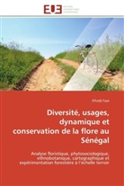 Elhadji Faye, Faye-E - Diversite, usages, dynamique et