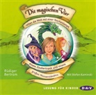 Rüdiger Bertram, Stefan Kaminski - Die magischen Vier retten die Welt mit einer Taschenlampe, einem Zaubertrank und einem großen Missverständnis, 2 Audio-CDs (Audio book)