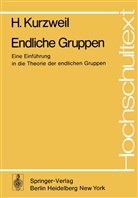 H Kurzweil, H. Kurzweil, Hans Kurzweil, Bernd Stellmacher - Endliche Gruppen