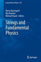Marco Baumgartl, Ilk Brunner, Ilka Brunner, Michael Haack - Strings and Fundamental Physics