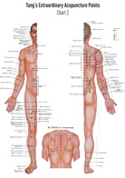 David Koppensteiner - Chart 2 Tung's Extraordinary Acupuncture Points on the regular channels, Poster