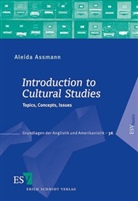 Aleida Assmann, Aleida (Prof. Dr.) Assmann - Introduction to Cultural Studies