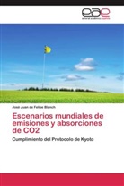 José Juan de Felipe Blanch - Escenarios mundiales de emisiones y absorciones de CO2