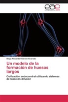 Diego Alexander Garzón Alvarado - Un modelo de la formación de huesos largos