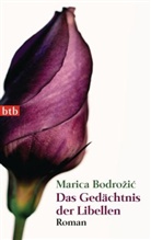 Marica Bodro ic, Marica Bodroi, Marica Bodroic, Marica Bodrozic, Marica Bodrožic, Marica Bodrožić - Das Gedächtnis der Libellen