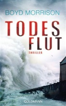 Boyd Morrison - Todesflut