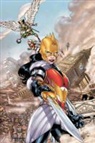 Dan Abnett, Tony Abnett Bedard - Flashpoint