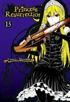 Yasunori Mitsunaga - Princess Resurrection. Bd.13
