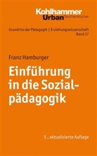 Franz Hamburger, Werne Helsper, F Radtke, Werner u a Thole, Werne Helsper, Werner Helsper... - Einführung in die Sozialpädagogik