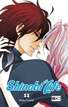 Shoko Conami - Shinobi Life. Bd.11