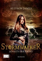 Allyson James - Stormwalker - Jenseits der Nacht