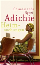 Chimamanda N Adichie, Chimamanda Ngozi Adichie - Heimsuchungen