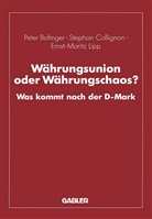 Peter Bofinger - Währungsunion oder Währungschaos?