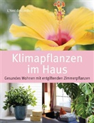 Rosenn Le Page, LAm des Jardins, L'Ami des Jardins - Klimapflanzen im Haus