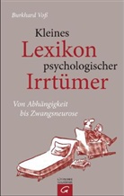 Burkhard Voß - Kleines Lexikon psychologischer Irrtümer