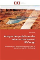Willy Mvumbi, Mvumbi-W - Analyse des problemes des mines