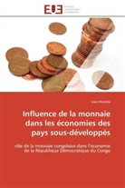 Jean Muteba, Muteba-j - Influence de la monnaie dans les
