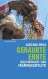 Vandana Shiva - Geraubte Ernte