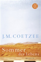 J. M. Coetzee - Sommer des Lebens