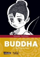 Osamu Tezuka, Osamu Tezuka - Buddha - Die Prophzeiung
