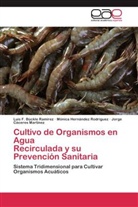 Luis Bückle Ramirez, Luis F Bückle Ramirez, Luis F. Bückle Ramirez, Jorge Cáceres Martínez, Mónica Hernández Rodríguez - Cultivo de Organismos en Agua Recirculada y su Prevención Sanitaria