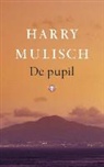 Harry Mulisch - De pupil