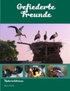 Günter Steinke - Gefiederte Freunde