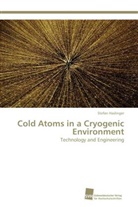 Stefan Haslinger - Cold Atoms in a Cryogenic Environment