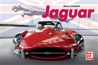 Marco Guidetti - Jaguar