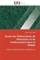 Nadim Ahmed Hazeg, Hazeg-n - Etude des phenomenes de