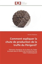 Nicolas Chedozeau, Chedozeau-N - Comment expliquer la chute de