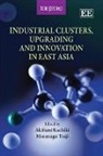 Akifumi Tsuji Kuchiki, Akifumi/ Tsuji Kuchiki, Akifumi Kuchiki, Masatsugu Tsuji - Industrial Clusters, Upgrading and Innovation in East Asia