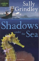 Sally Grindley - Shadows under the Sea