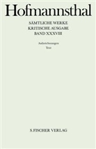 Hugo Hofmannsthal, Hugo von Hofmannsthal, Peter M. Braunwarth, Peter Michael Braunwarth, Konra Heumann, Konrad Heumann... - Sämtliche Werke - Kritische Ausgabe - Bd. 38/39: Aufzeichnungen / Text, 2 Bde.