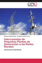 Armando Llamas Terrés, Salomó Santos Erape, Salomón Santos Erape - Interconexión de Pequeñas Plantas de Generación a las Redes Rurales