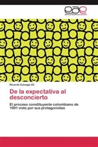 Ricardo Zuluaga Gil - De la expectativa al desconcierto