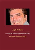 Angelo Del Buono, Angelo Del Buono - Strategisches Debitorenmanagement (KMU)
