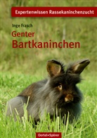 Inge Frasch - Genter Bartkaninchen