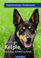 Uta Reichenbach - Kelpie