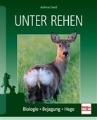 Andreas David - Unter Rehen