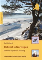 David Wigand - Elchtest in Norwegen