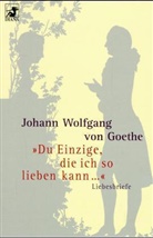 Johann Wolfgang von Goethe - Du Einzige, die ich so lieben kann